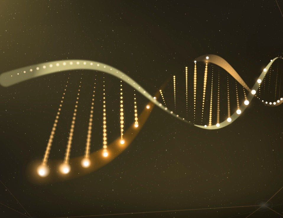 Understanding the Poised State of Developmental Genes