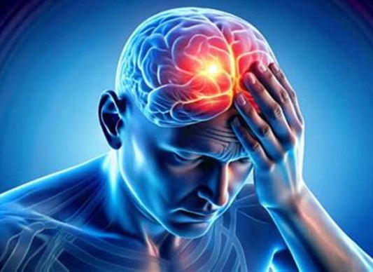 Neural Progenitor Cells to Treat Hypoxic-Ischemic Encephalopathy