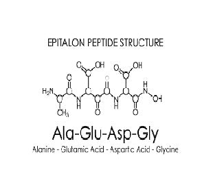 Exploring the Lifespan Benefits of Epithalon Peptide