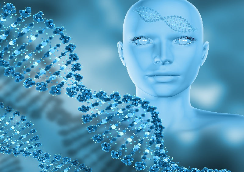 Stem Cells in Immune Regulation and Beauty Applications