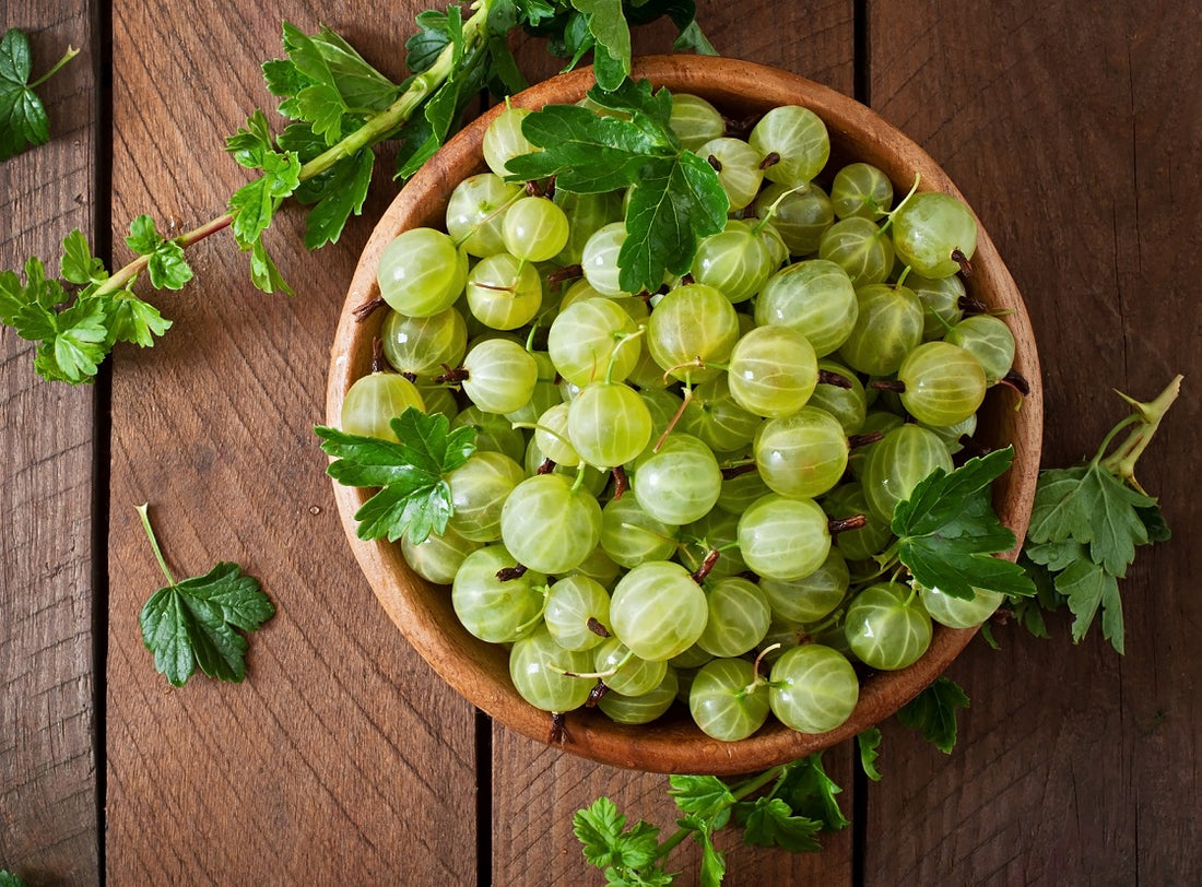 Discover the Mindful Beauty Benefits of Amla