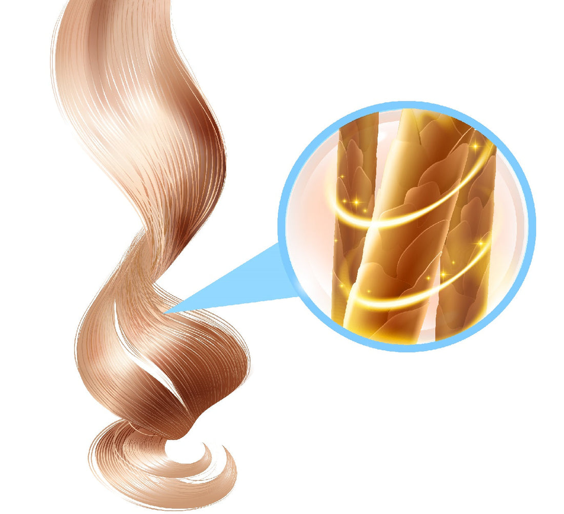 Harnessing Hair Protein for Tooth Enamel Regeneration