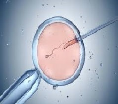 Kisspeptin Therapy for Sexual and Fertility Therapy