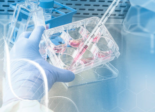 Innovative CAR T Cell Therapy for Acute Myeloid Leukemia