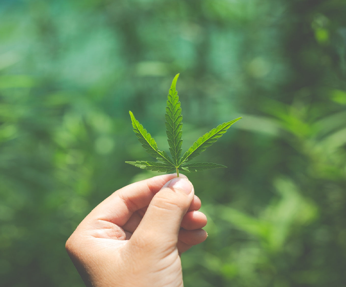 Teen Cannabis and Mental Health