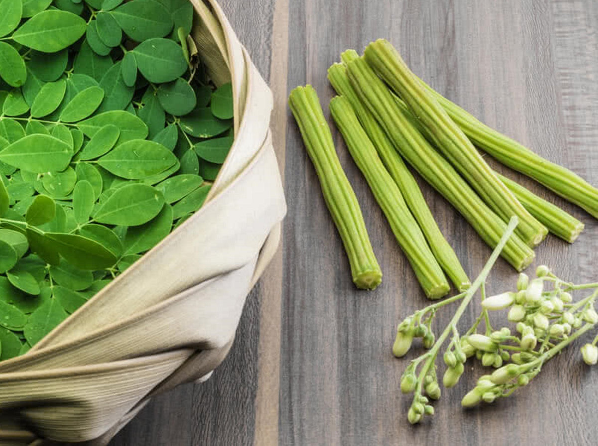 The Beauty Secrets of Moringa Oleifera for Radiant Skin