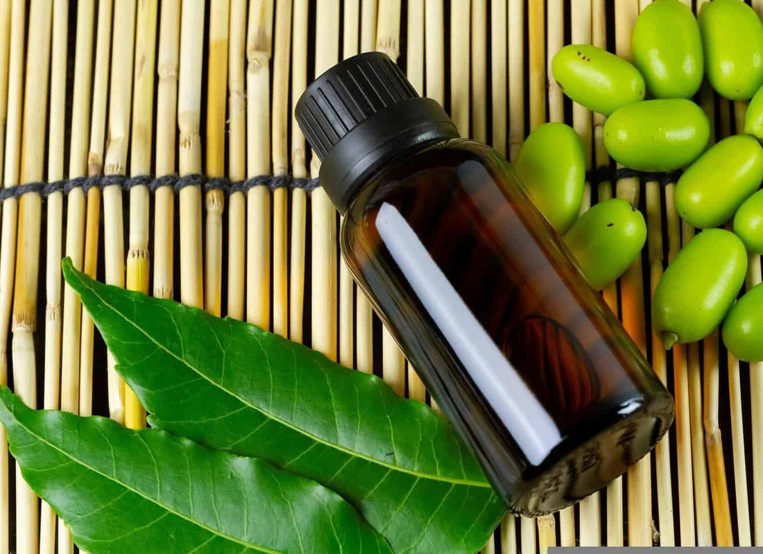 Essential Information About Neem Oil for Healthy Skin