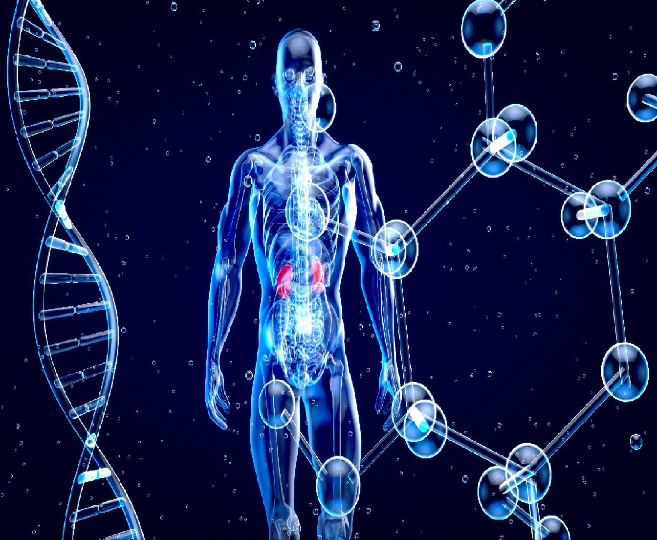 Treating Nerve Damage with Organoids
