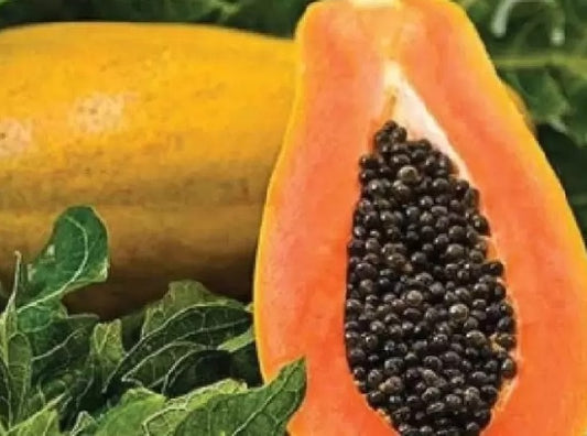 Papaya and its Extraordinary Benefits