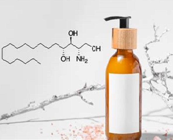 Phytosphingosine An Unsung Hero of Skincare
