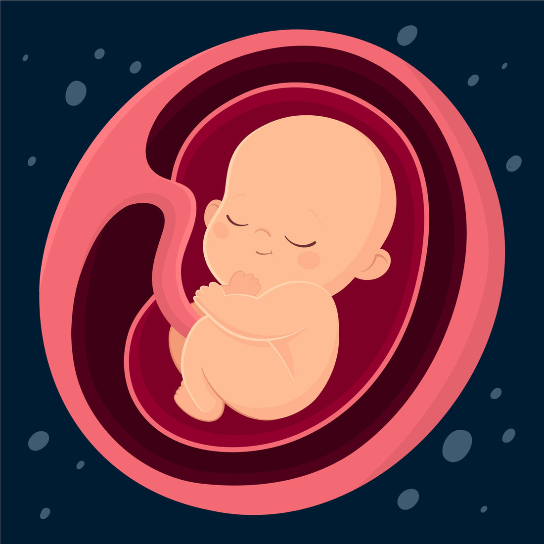 Exploring Alternative Uses for Placenta