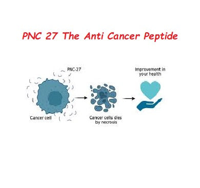 PNC-27 The Anti Cancer Peptide
