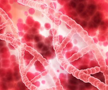 Transforming Astrocytes into Brain Stem Cells