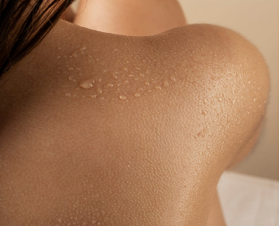 Decoding Your Skin's Fortress