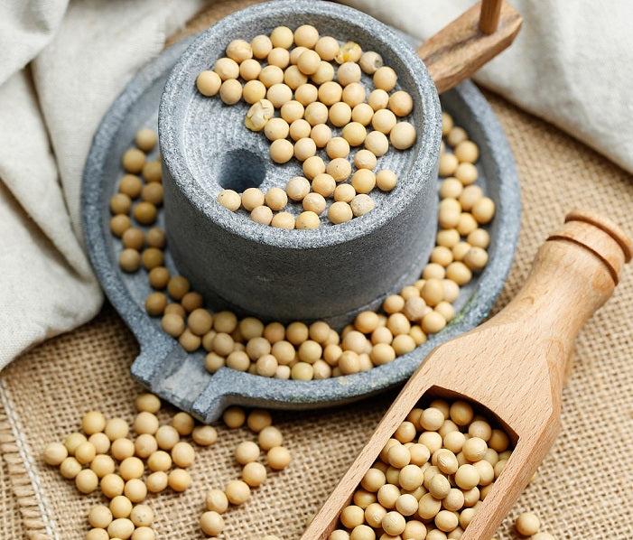 Soy Isoflavones A Natural Approach to Beautiful Skin and Skin Aging