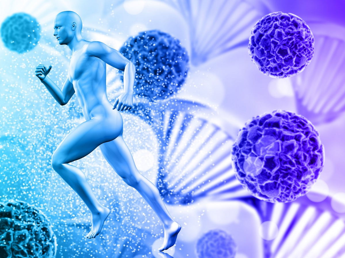Stem Cell Technology in Anti-Aging