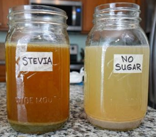 The Cancer-Fighting Potential of Fermented Stevia