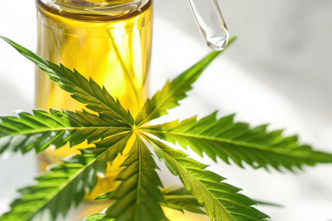 THC in HIV Treatment and Health Benefits