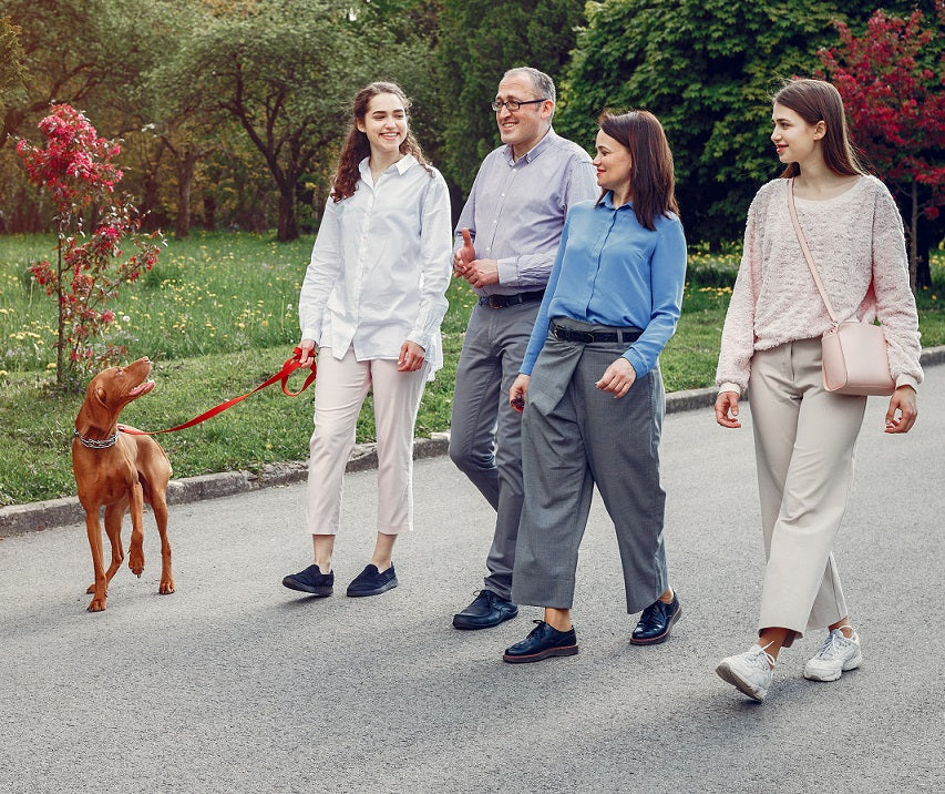 How Daily Walking Can Prevent Chronic Back Pain