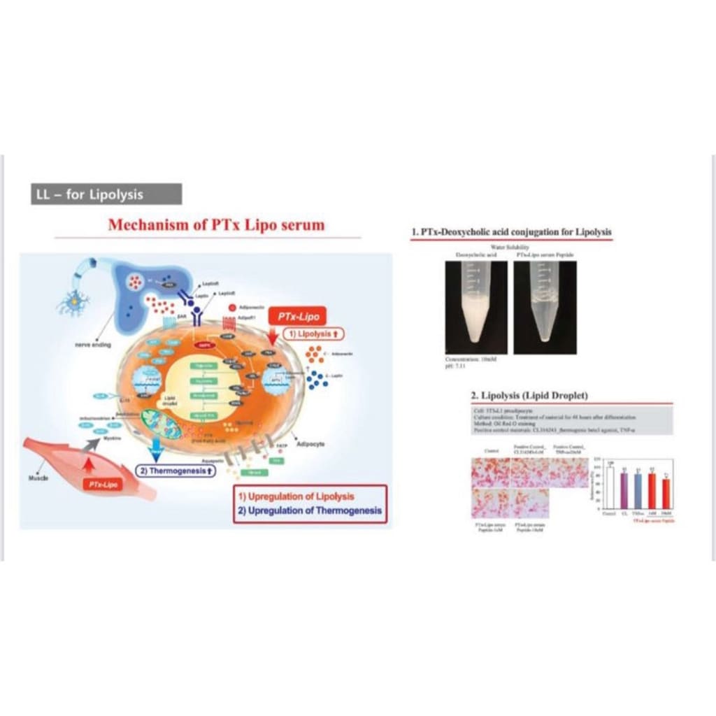 Dermaheal PTx Platinum LL - Moonspells Beauty